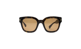 Classic Logo Sunglasses "Brown" XA41763AC_Tortoise/Brown