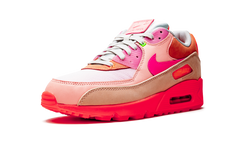 AIR MAX 90 PRM WMNS"Platinum Crimson/Bright Purple" CT3449 600