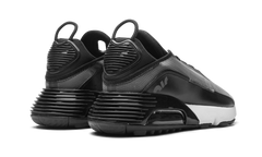 AIR MAX 2090 "Black / Wolf Grey" CW7306 001