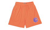 EE Basic Shorts "Fiery - Coral Purple" EE166