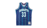 NBA Alonzo Mourning Authentic Jersey "1994 Charlotte Hornets - Dark Purple" AJY4LG19020 CHODKPR94AMO