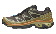 XT-6 Gore-Tex "Delicioso Tea" L49202100