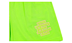 EE Basic Shorts "Slime" EE142