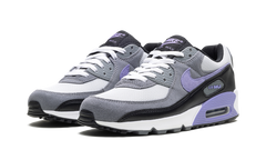 Air Max 90 "Light Thistle" DM0029 014